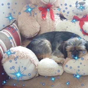 Meet your Posher, Mary